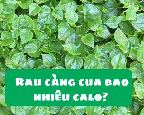 rau-cang-cua-bao-nhieu-calo